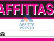 Appartamento BILOCALE in affitto a Marti Pi