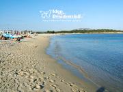 Appartamento BILOCALE in affitto a Olbia Ot