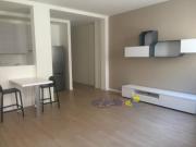 Appartamento BILOCALE in affitto a Parma Pr