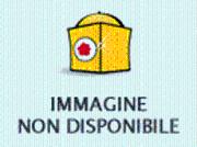 Appartamento BILOCALE in affitto a Roma Rm