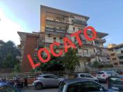 Appartamento BILOCALE in affitto a Roma Rm