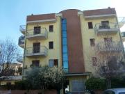 Appartamento BILOCALE in affitto a San Benedetto del...