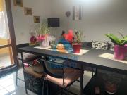 Appartamento BILOCALE in affitto a San miniato basso Pi