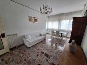 Appartamento BILOCALE in affitto a Vercelli Vc