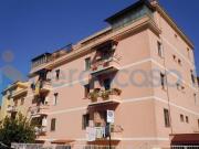 Appartamento Bilocale in affitto in Via Dei Pioppi 61, Roma