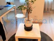 Appartamento Bilocale in ottime condizioni, in affitto...