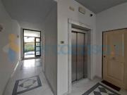 Appartamento Bilocale in ottime condizioni, in affitto...