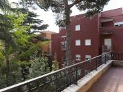 Appartamento con 1 camera da letto in affitto a...