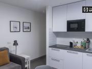 Appartamento con 1 camera da letto in affitto a Roma