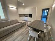 Appartamento con 1 camera da letto in affitto in Viale...