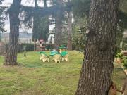 Appartamento con 2 stanze singole