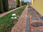 Appartamento con giardino a San Giorgio delle Pertiche