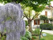 Appartamento con giardino, Panicale casalini