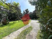 Appartamento con giardino, Pietrasanta marina di