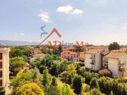 Appartamento con ingresso indipendente in affitto a...