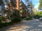 Appartamento con terrazzo Nuovo salario, prati fiscali,... Appartamento con terrazzo Nuovo salario, prati fiscali,...