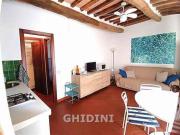 APPARTAMENTO di 3 vani e di 35 mq CASTIGLIONE DELLA...