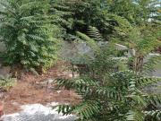 APPARTAMENTO di 3 vani e di 80 mq MESSINA rif. 2VS16836