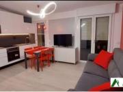 Appartamento di 40 m con 1 locale in affitto a Milano