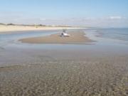 Appartamento di 53 m con 2 locali in affitto a Ginosa