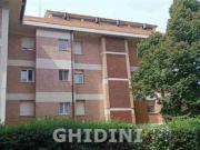 APPARTAMENTO di 5 vani e di 120 mq GROSSETO STADIO rif....