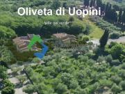 Appartamento di nuova costruzione al piano terra con...