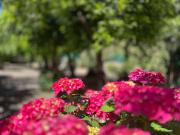 Appartamento di prestigio di 270 m² in vendita Piazza...