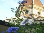 Appartamento Florence Florence 50122 DS93654729