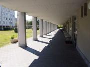 Appartamento in affitto