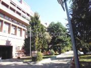 Appartamento in Affitto