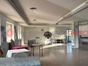 Immobile in affitto a Alatri FR