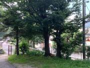 Appartamento in affitto a Bagnolo Piemonte via Cave,...