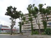 Appartamento in affitto a Bari