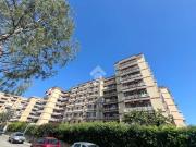 Appartamento in affitto a Bari BA