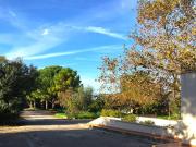 Appartamento in affitto a Bari BA