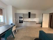 Appartamento in affitto a Bergamo via Ezio Zambianchi,...