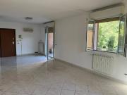 Appartamento in affitto a Bologna BO