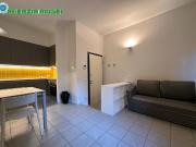 Appartamento in affitto a Bologna BO