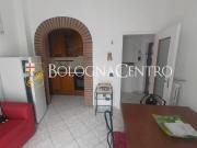 Appartamento in affitto a Bologna BO
