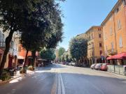 Appartamento in affitto a Bologna BO
