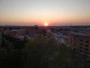 Appartamento in affitto a Bologna BO