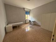 Appartamento in affitto a Bologna BO