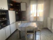 Appartamento in affitto a Bologna BO
