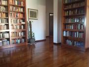 Appartamento in affitto a Bologna BO