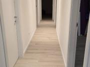 Appartamento in affitto a Bologna BO