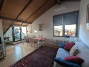 Appartamento in affitto a Bologna BO