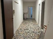 Appartamento in affitto a Bologna BO