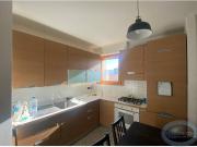 Appartamento in affitto a Bologna BO