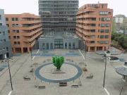 Appartamento in affitto a Bologna BO