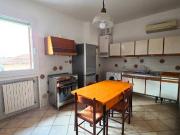 Appartamento in affitto a Bologna BO